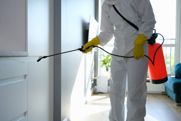 Best Mold Damage Repair  in Markesan, WI
