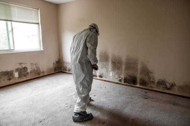 Mold Testing and Removal in Markesan, WI